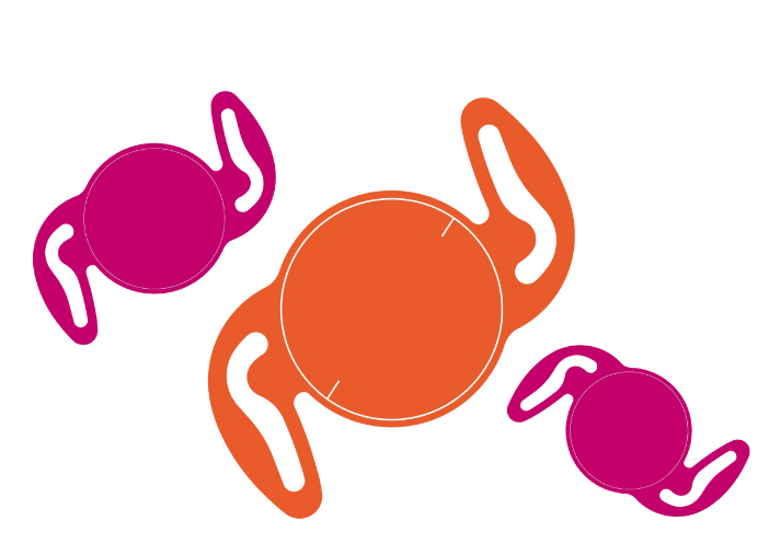 Premium Cataract Surgery: Non-Diffractive EDOF IOL's at Benjamin Eye Institute