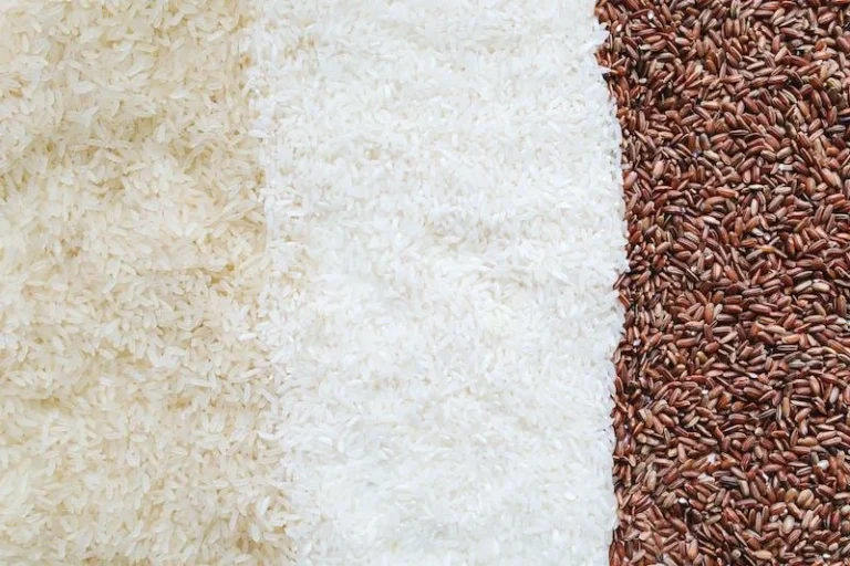 BLINDNESS LOSES TO A GRAIN OF RICE