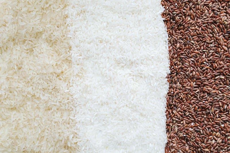 BLINDNESS LOSES TO A GRAIN OF RICE
