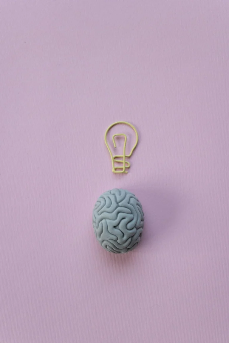 HOW THE BRAIN DECEIVES THE EYE