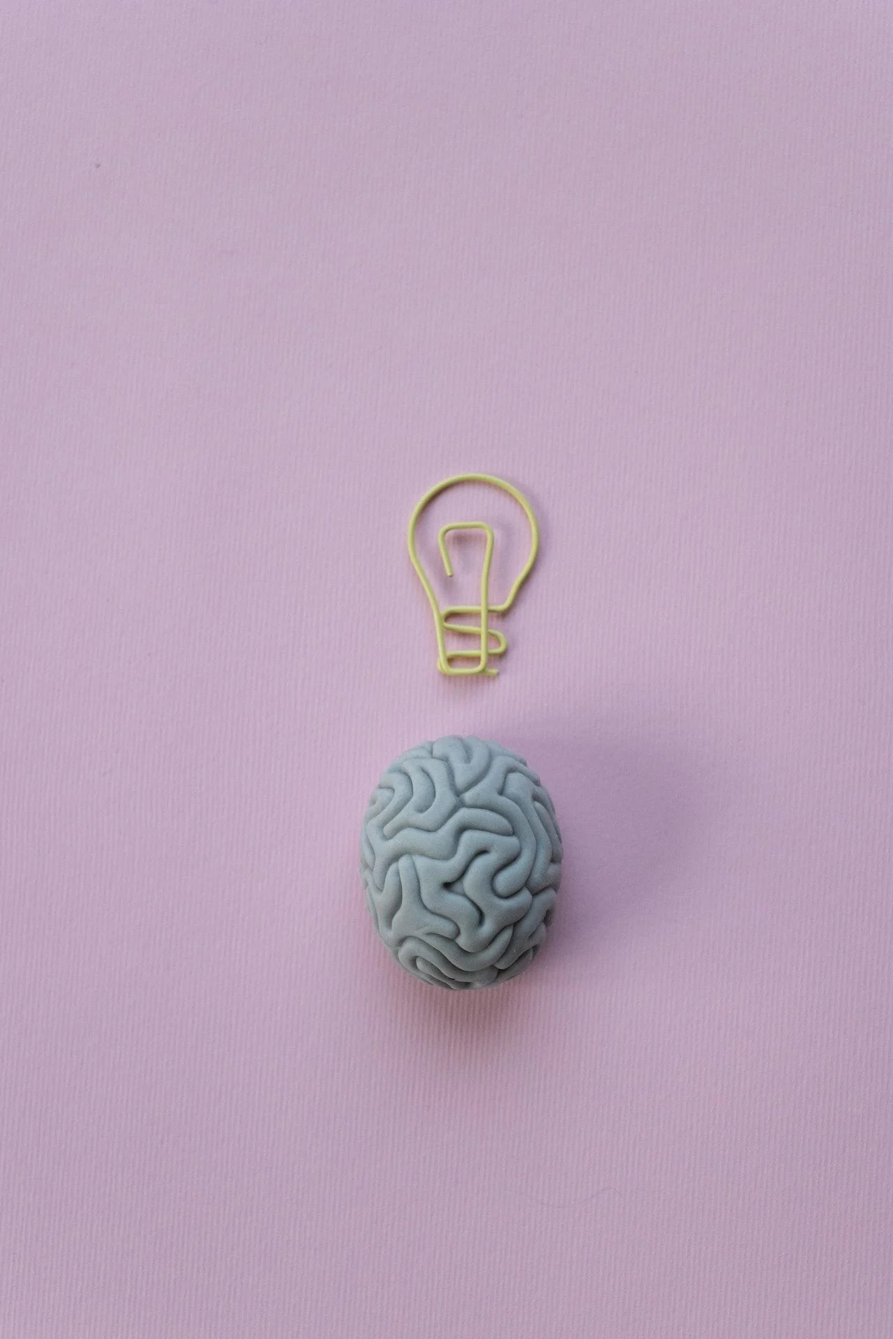 HOW THE BRAIN DECEIVES THE EYE