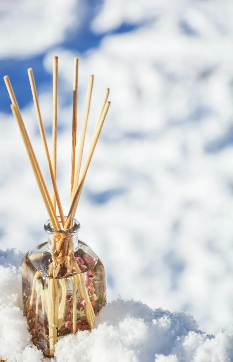 RODS AND CONES:  INSIDE THE EYES' LIVELY ECONOMY